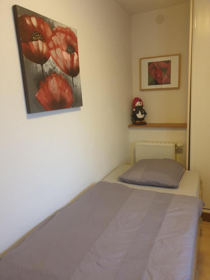 Appartement Proche D'Europa Park/Marches De Noel Rhinau Zewnętrze zdjęcie