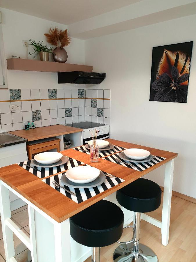 Appartement Proche D'Europa Park/Marches De Noel Rhinau Zewnętrze zdjęcie