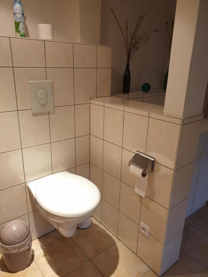 Appartement Proche D'Europa Park/Marches De Noel Rhinau Zewnętrze zdjęcie
