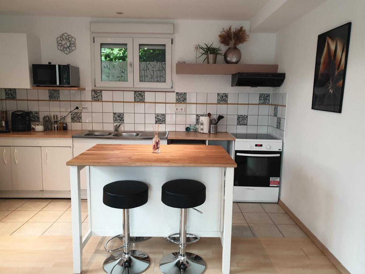 Appartement Proche D'Europa Park/Marches De Noel Rhinau Zewnętrze zdjęcie