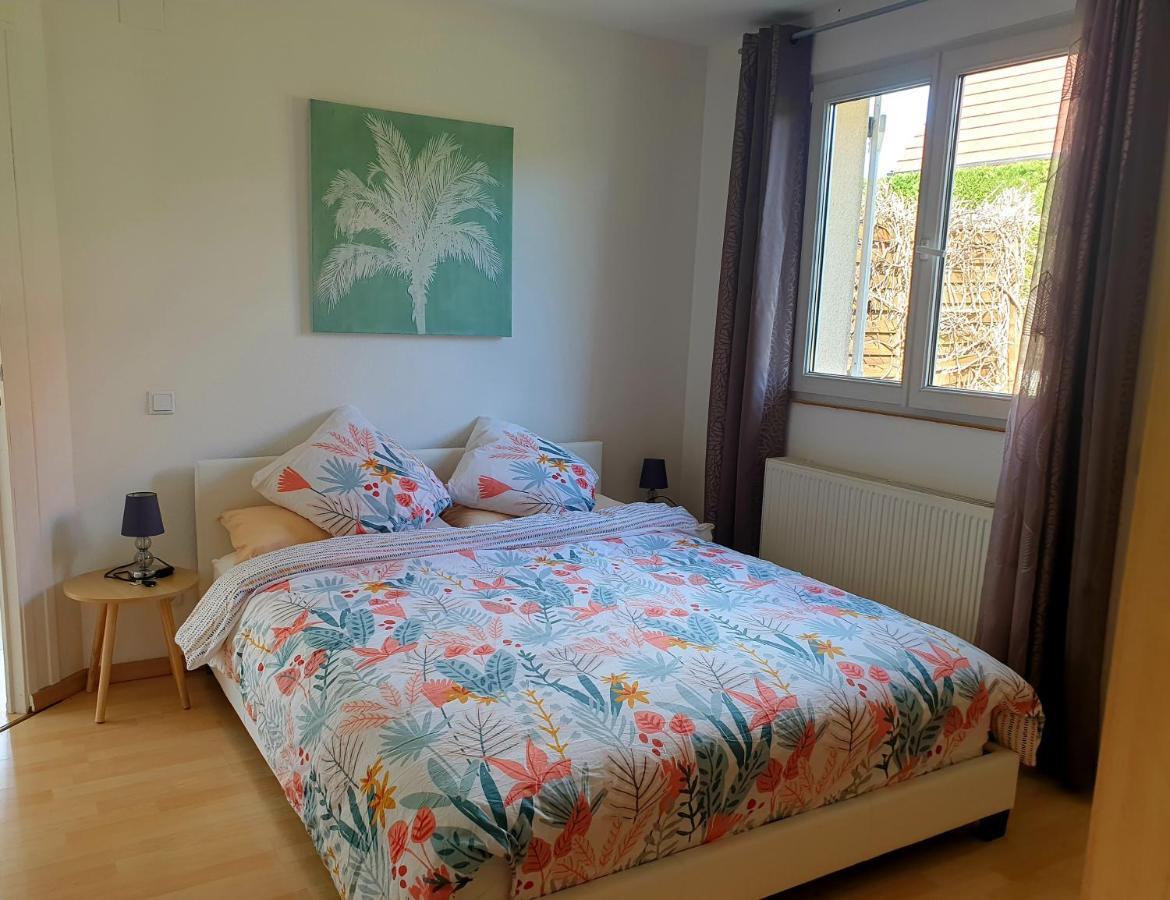 Appartement Proche D'Europa Park/Marches De Noel Rhinau Zewnętrze zdjęcie