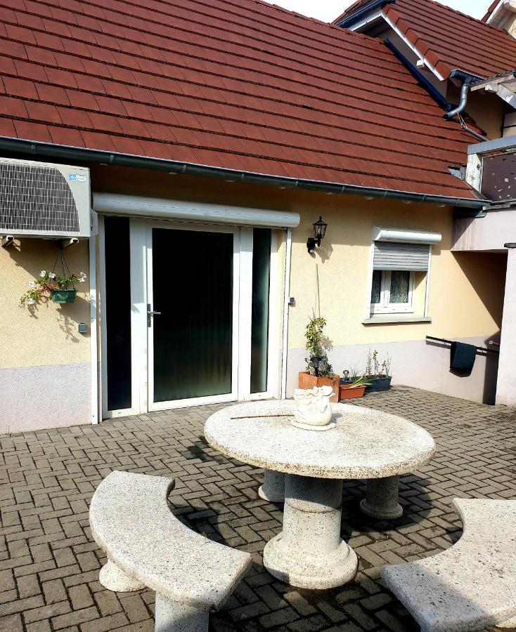 Appartement Proche D'Europa Park/Marches De Noel Rhinau Zewnętrze zdjęcie